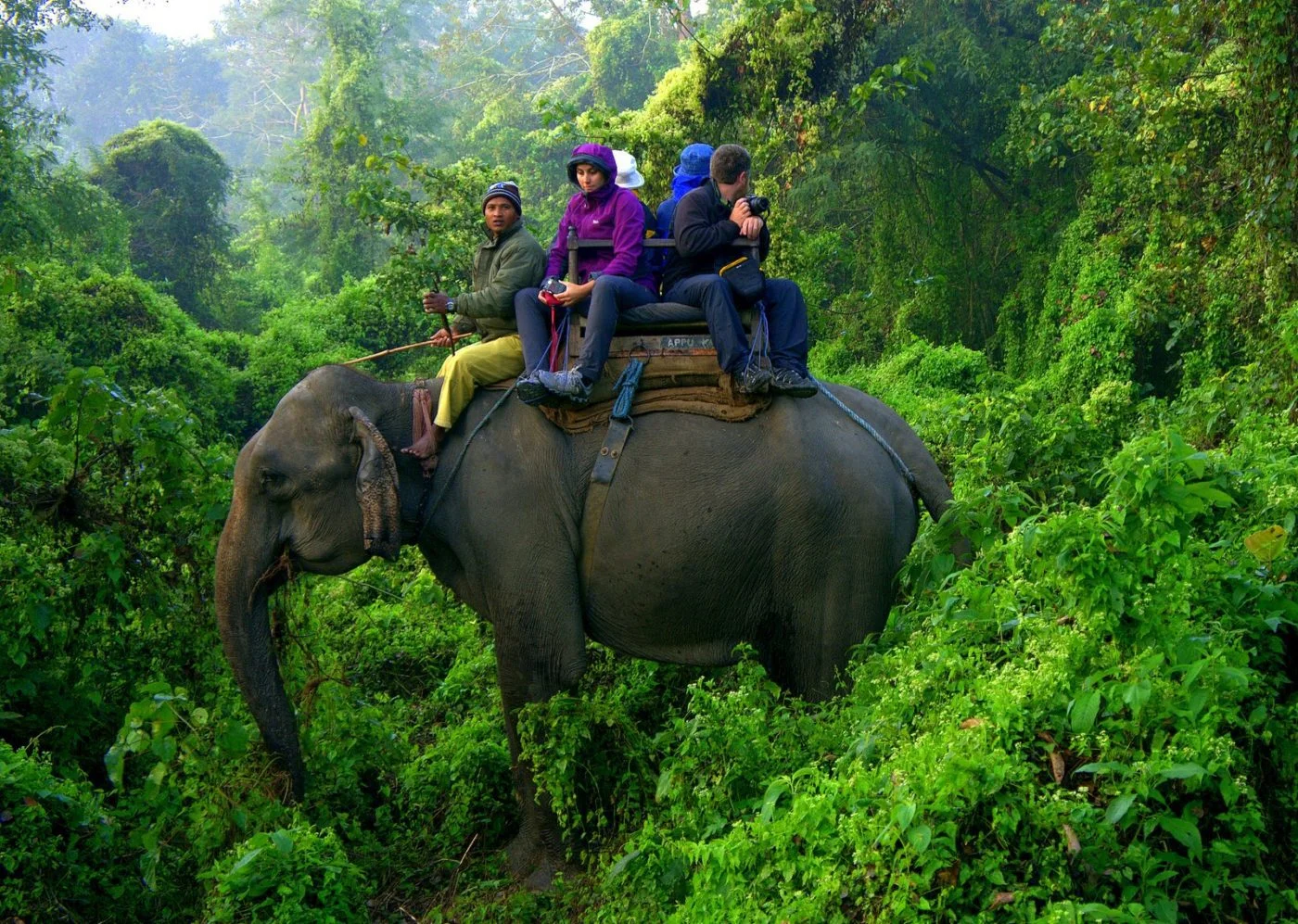 Terai Region