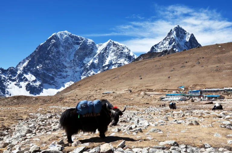 Everest Gokyo Valley Explorer Trek – 13 Days